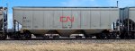 CN 113125